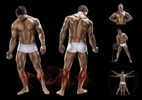 calves