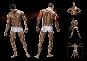 triceps