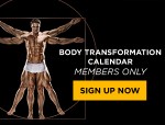 body_widget