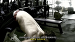 DumbbellBackExtensions 1